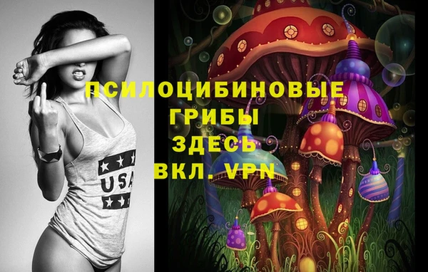 PSILOCYBIN Алексин