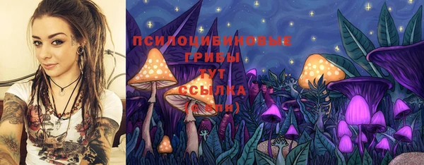 дмт Алексеевка